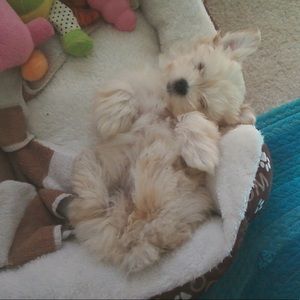 Meet your Posher, Julia